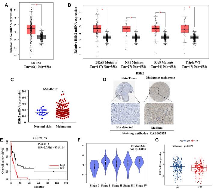 https://cdn.ncbi.nlm.nih.gov/pmc/blobs/4f42/9541206/b6250ddb8af1/fphar-13-950571-g001.jpg