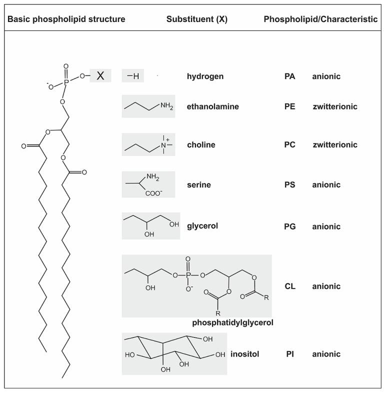 https://cdn.ncbi.nlm.nih.gov/pmc/blobs/4f43/3972451/b0dffc9e8d19/fpls-05-00109-g001.jpg