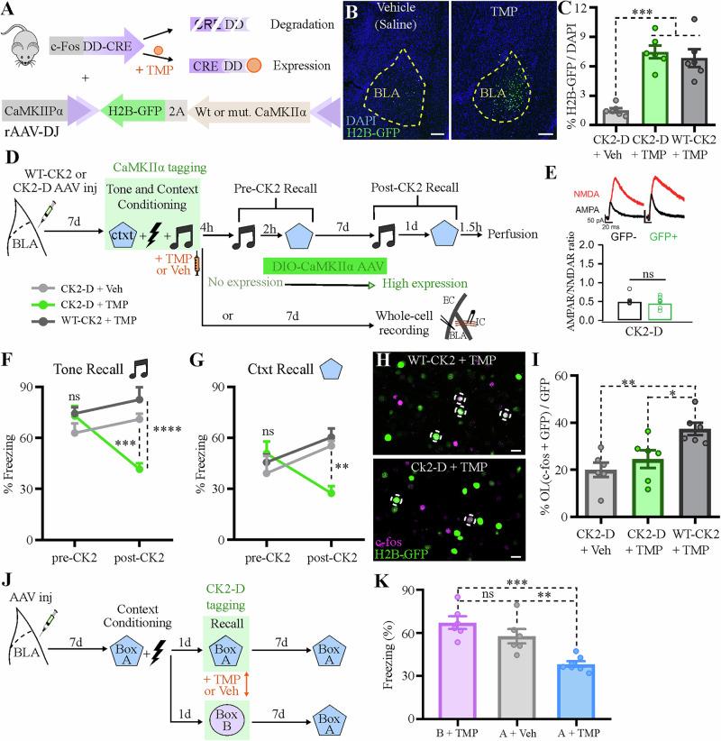 https://cdn.ncbi.nlm.nih.gov/pmc/blobs/4f45/12137600/5ab077ba5cc3/42003_2025_8140_Fig2_HTML.jpg