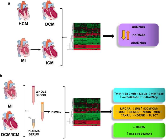 https://cdn.ncbi.nlm.nih.gov/pmc/blobs/4f45/7603677/543fb5f56783/12967_2020_2582_Fig4_HTML.jpg