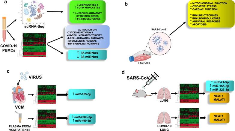 https://cdn.ncbi.nlm.nih.gov/pmc/blobs/4f45/7603677/b346a96adbed/12967_2020_2582_Fig5_HTML.jpg
