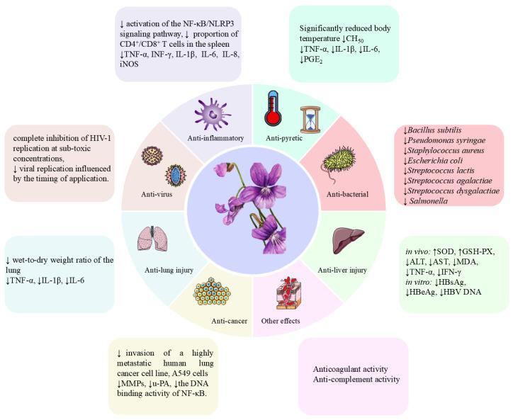 https://cdn.ncbi.nlm.nih.gov/pmc/blobs/4f48/12073729/16c8f2a70ed2/molecules-30-01922-g007.jpg