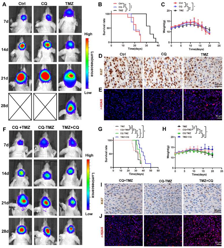 https://cdn.ncbi.nlm.nih.gov/pmc/blobs/4f4a/9169358/7282fed3392b/thnov12p4330g006.jpg