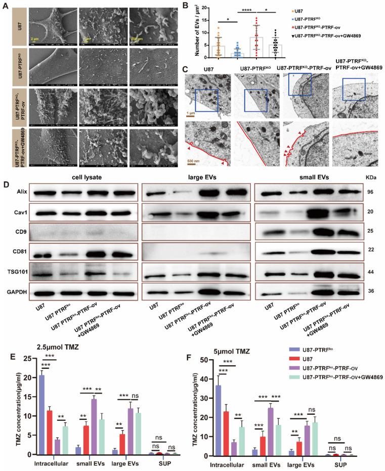 https://cdn.ncbi.nlm.nih.gov/pmc/blobs/4f4a/9169358/79aee5883179/thnov12p4330g003.jpg