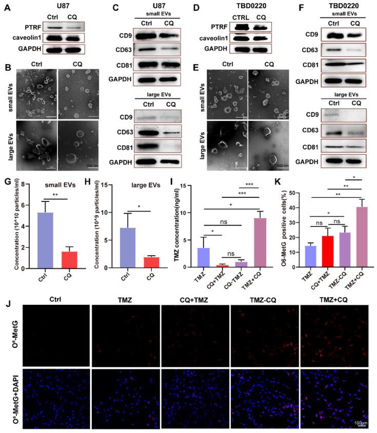 https://cdn.ncbi.nlm.nih.gov/pmc/blobs/4f4a/9169358/f518e6edc7b7/thnov12p4330g007.jpg