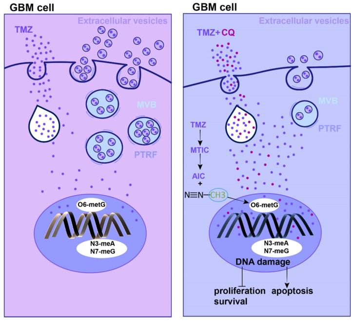 https://cdn.ncbi.nlm.nih.gov/pmc/blobs/4f4a/9169358/f5fde2faac00/thnov12p4330g008.jpg