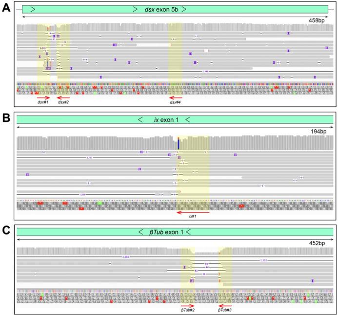 https://cdn.ncbi.nlm.nih.gov/pmc/blobs/4f4b/10945564/6114616f14e1/elife-90199-fig2-figsupp3.jpg