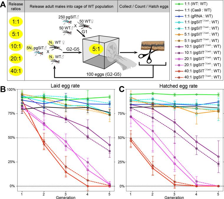 https://cdn.ncbi.nlm.nih.gov/pmc/blobs/4f4b/10945564/806c1692de91/elife-90199-fig3.jpg