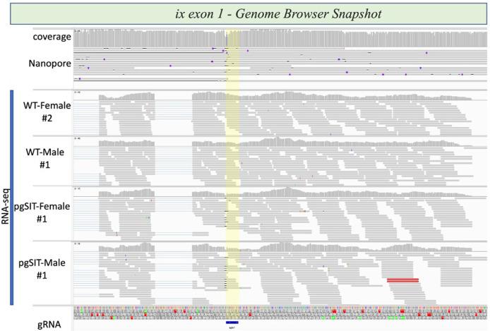 https://cdn.ncbi.nlm.nih.gov/pmc/blobs/4f4b/10945564/b35ab26420fb/elife-90199-fig2-figsupp5.jpg
