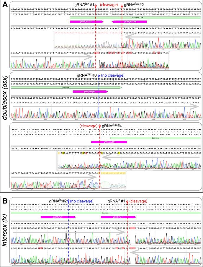 https://cdn.ncbi.nlm.nih.gov/pmc/blobs/4f4b/10945564/c2d601265f78/elife-90199-fig1-figsupp2.jpg