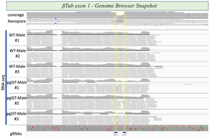 https://cdn.ncbi.nlm.nih.gov/pmc/blobs/4f4b/10945564/d22785cd81cb/elife-90199-fig2-figsupp6.jpg