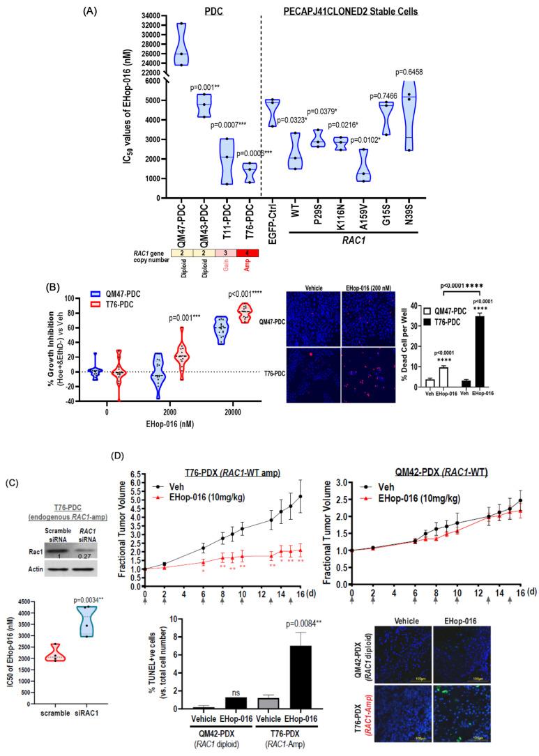 https://cdn.ncbi.nlm.nih.gov/pmc/blobs/4f50/11816149/0447def3912f/cancers-17-00361-g003.jpg