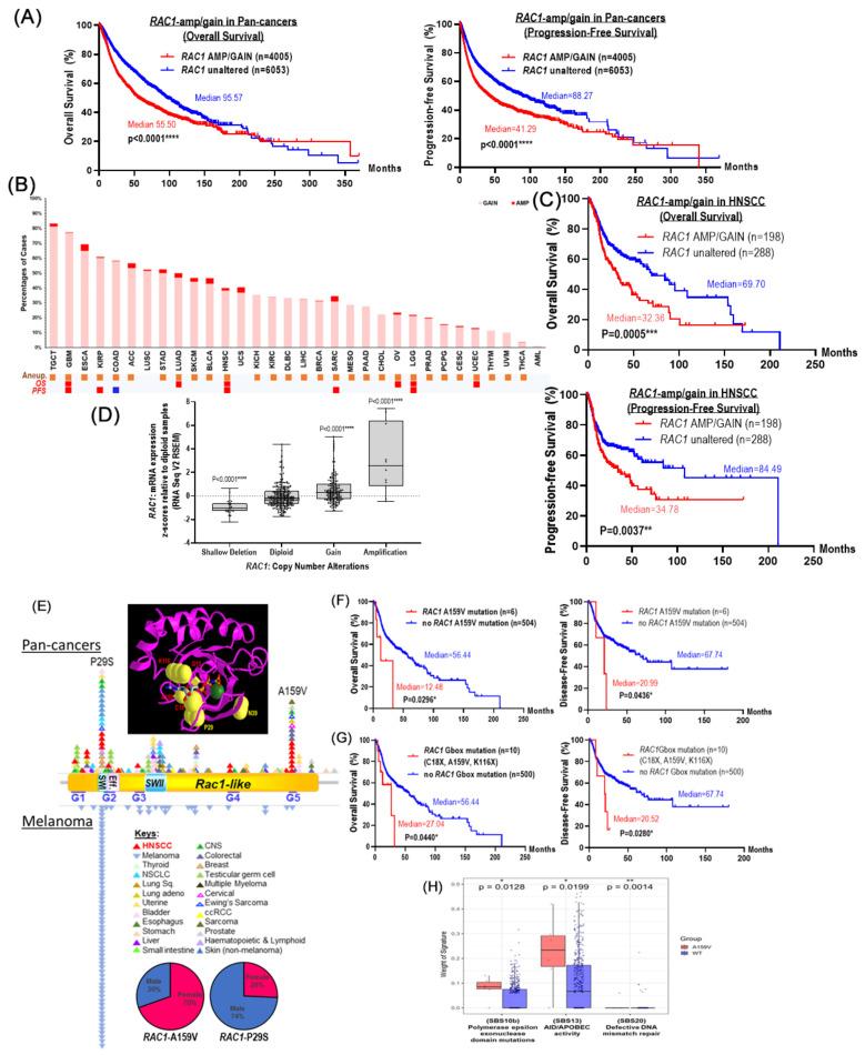 https://cdn.ncbi.nlm.nih.gov/pmc/blobs/4f50/11816149/19f0e6ec8803/cancers-17-00361-g001.jpg