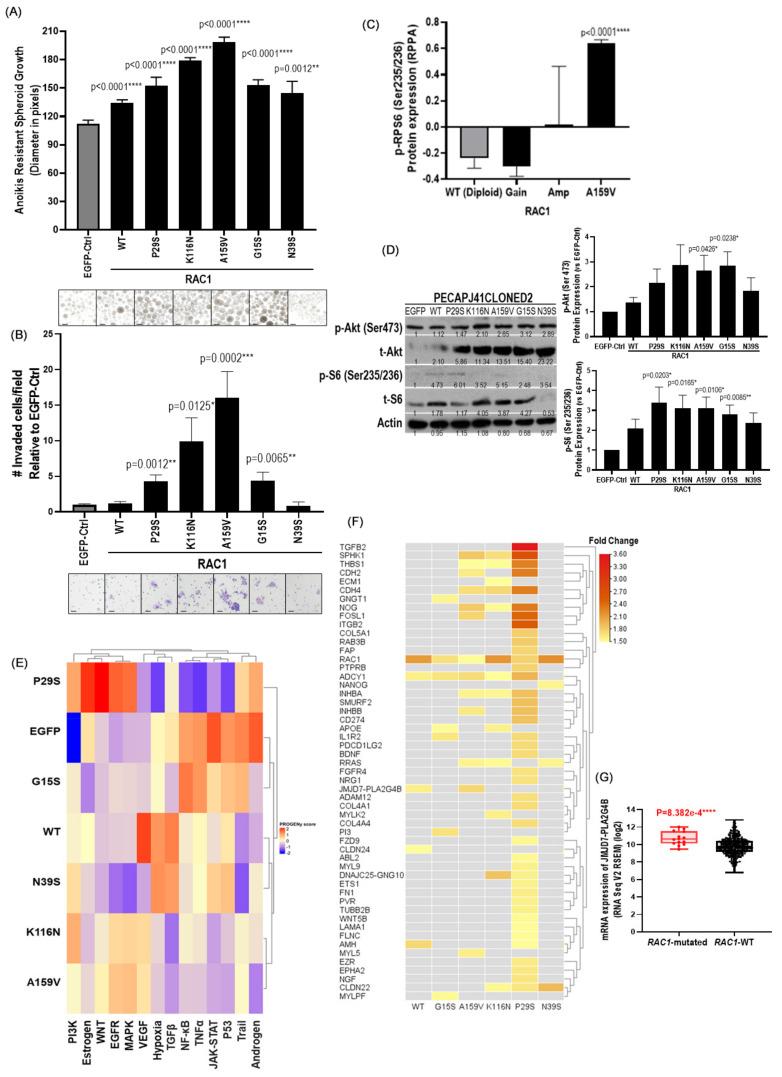 https://cdn.ncbi.nlm.nih.gov/pmc/blobs/4f50/11816149/694d5b30a213/cancers-17-00361-g002.jpg