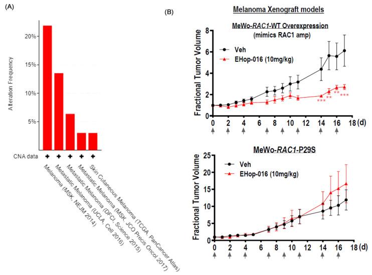 https://cdn.ncbi.nlm.nih.gov/pmc/blobs/4f50/11816149/8441866c3364/cancers-17-00361-g005a.jpg