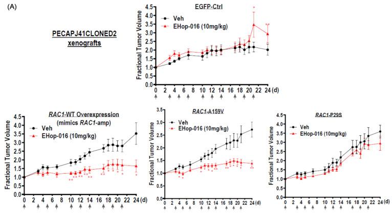 https://cdn.ncbi.nlm.nih.gov/pmc/blobs/4f50/11816149/eacd9a197f47/cancers-17-00361-g004a.jpg
