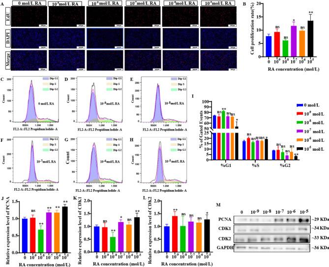 https://cdn.ncbi.nlm.nih.gov/pmc/blobs/4f50/12020305/45d0e57c230e/12864_2025_11544_Fig2_HTML.jpg