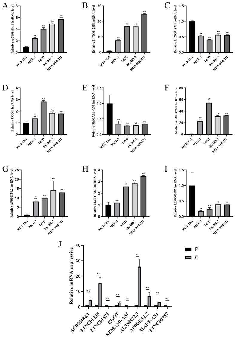 https://cdn.ncbi.nlm.nih.gov/pmc/blobs/4f51/11242350/b4cb0cd728cb/jcav15p4700g009.jpg