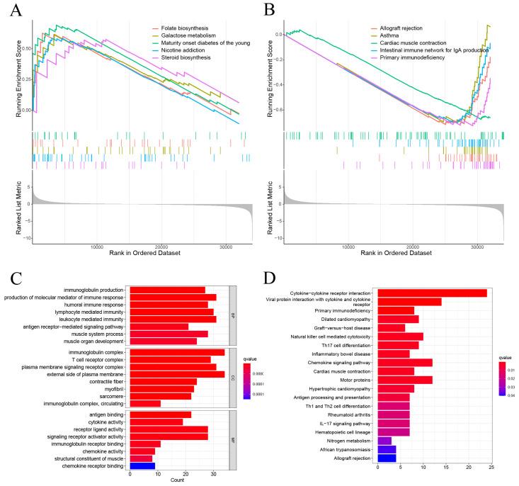 https://cdn.ncbi.nlm.nih.gov/pmc/blobs/4f51/11242350/e548c4d393ef/jcav15p4700g006.jpg