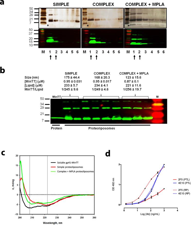 https://cdn.ncbi.nlm.nih.gov/pmc/blobs/4f51/5234007/acd8656afb18/srep40800-f2.jpg