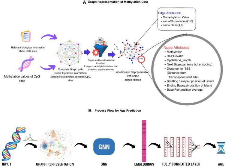 https://cdn.ncbi.nlm.nih.gov/pmc/blobs/4f52/12203532/7da7d24262a8/pgaf177f1.jpg