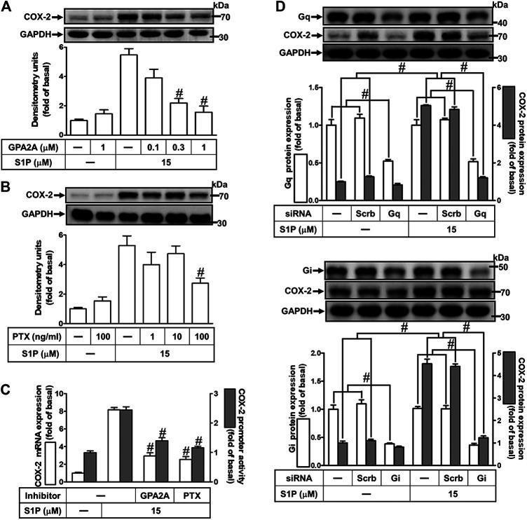 https://cdn.ncbi.nlm.nih.gov/pmc/blobs/4f52/7662885/6becc93bb681/fphar-11-569802-g003.jpg