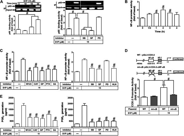 https://cdn.ncbi.nlm.nih.gov/pmc/blobs/4f52/7662885/70659a61b78d/fphar-11-569802-g009.jpg