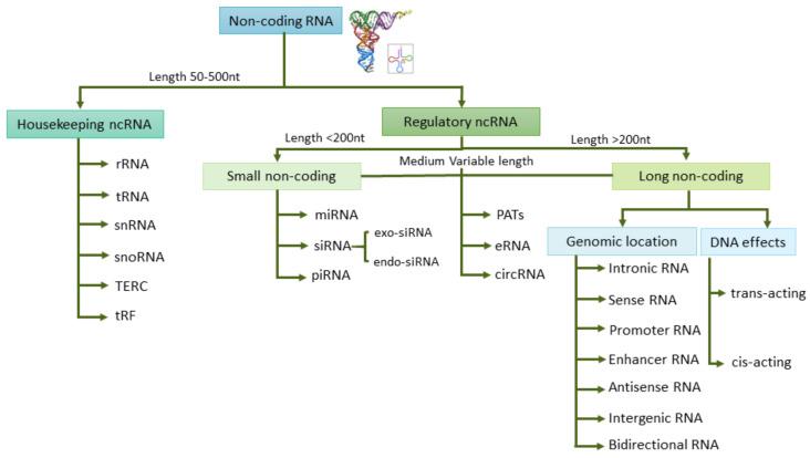 https://cdn.ncbi.nlm.nih.gov/pmc/blobs/4f53/8233712/45bb2db438a5/cancers-13-03016-g002.jpg