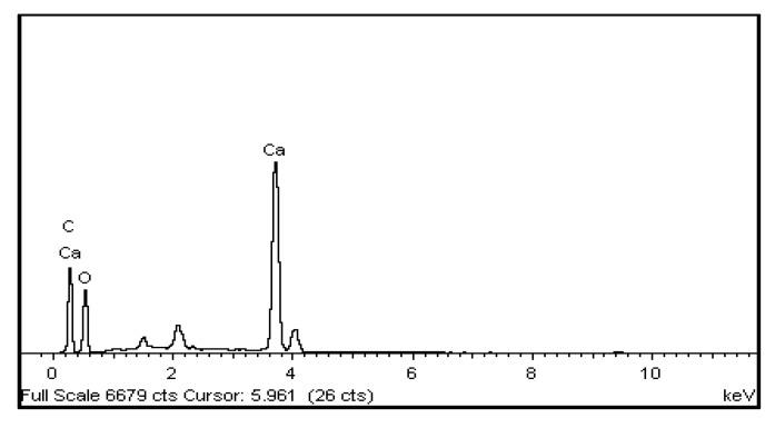 https://cdn.ncbi.nlm.nih.gov/pmc/blobs/4f54/10007581/8dde1c4667f8/polymers-15-01327-g009.jpg
