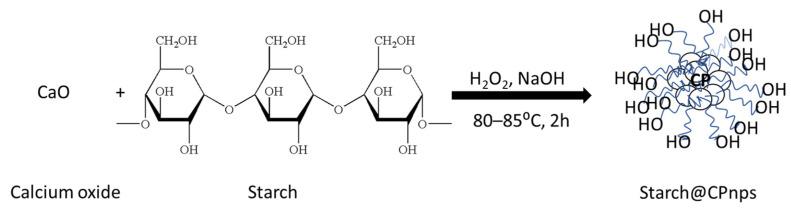 https://cdn.ncbi.nlm.nih.gov/pmc/blobs/4f54/10007581/f345af57ac27/polymers-15-01327-g005.jpg
