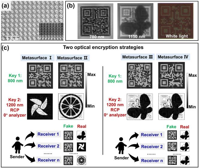 https://cdn.ncbi.nlm.nih.gov/pmc/blobs/4f54/11636522/0deb72c3a5ae/j_nanoph-2023-0324_fig_004.jpg