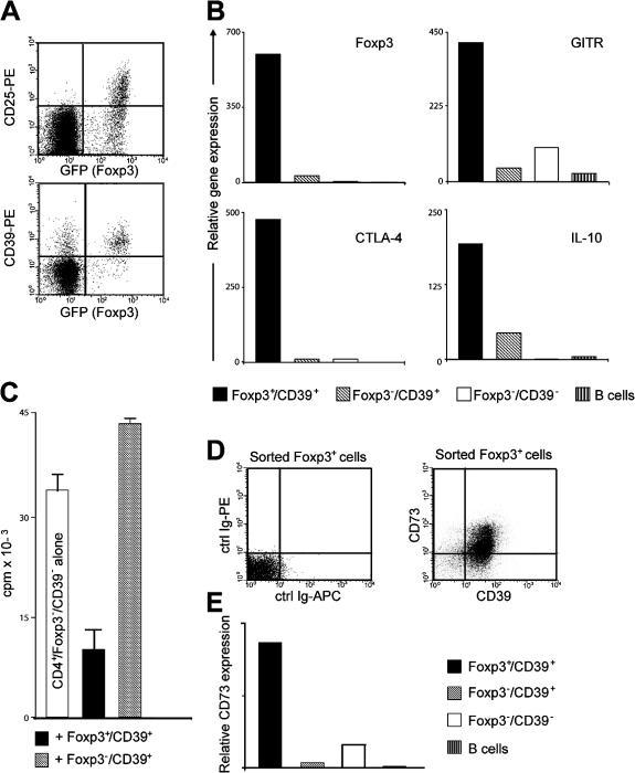 https://cdn.ncbi.nlm.nih.gov/pmc/blobs/4f55/2118603/1b85a9154926/jem2041257f02.jpg