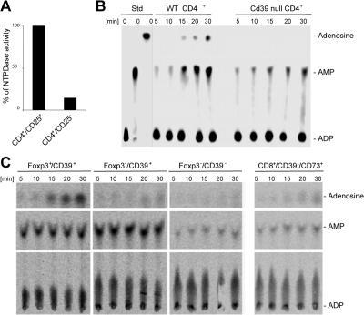 https://cdn.ncbi.nlm.nih.gov/pmc/blobs/4f55/2118603/afe25fea5f8a/jem2041257f03.jpg