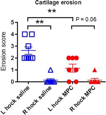 https://cdn.ncbi.nlm.nih.gov/pmc/blobs/4f55/5297153/d4c998b84dd9/13287_2016_460_Fig6_HTML.jpg