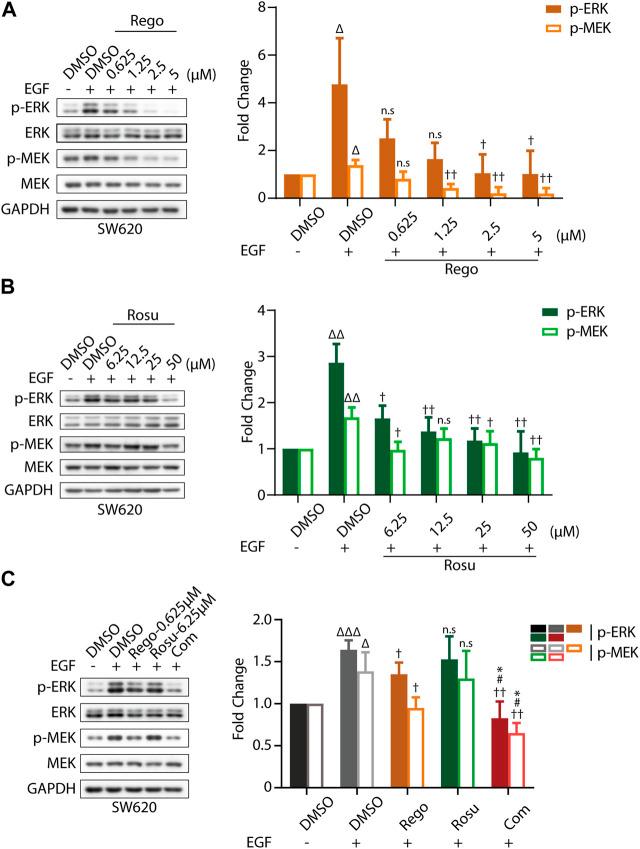 https://cdn.ncbi.nlm.nih.gov/pmc/blobs/4f56/10149949/d25183d5f4ef/fphar-14-1136114-g003.jpg