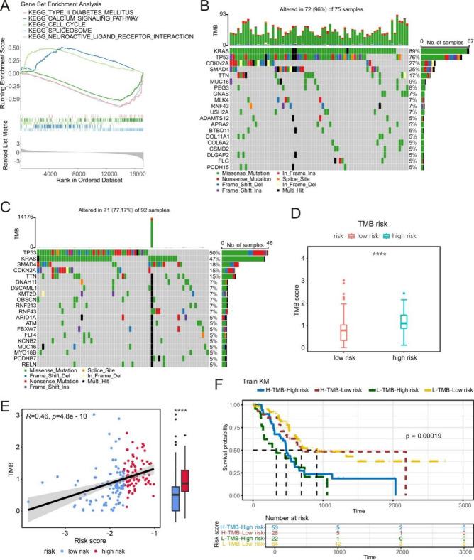 https://cdn.ncbi.nlm.nih.gov/pmc/blobs/4f57/12032141/4a05a758ff26/41598_2025_99144_Fig6_HTML.jpg
