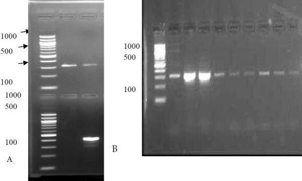 https://cdn.ncbi.nlm.nih.gov/pmc/blobs/4f58/3430060/311ed2e3728b/JRMS-16-1436-g002.jpg