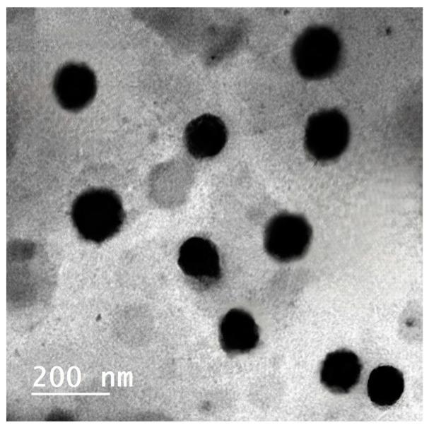 https://cdn.ncbi.nlm.nih.gov/pmc/blobs/4f59/11357403/67e79896cf3c/pharmaceuticals-17-00978-g002.jpg