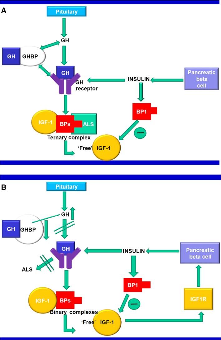 https://cdn.ncbi.nlm.nih.gov/pmc/blobs/4f5b/5069563/8c2a0fecf4de/APA-105-576-g002.jpg