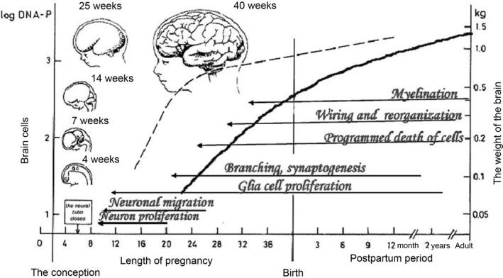https://cdn.ncbi.nlm.nih.gov/pmc/blobs/4f5b/5069563/9e53834f1287/APA-105-576-g006.jpg