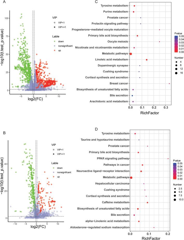 https://cdn.ncbi.nlm.nih.gov/pmc/blobs/4f5c/12012017/9bbda5939973/41598_2025_97463_Fig3_HTML.jpg