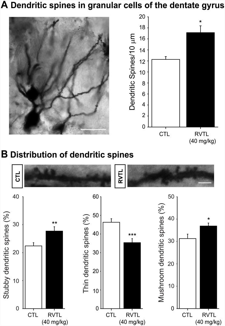 https://cdn.ncbi.nlm.nih.gov/pmc/blobs/4f5c/4690610/1ad1dd13f705/pone.0145687.g005.jpg