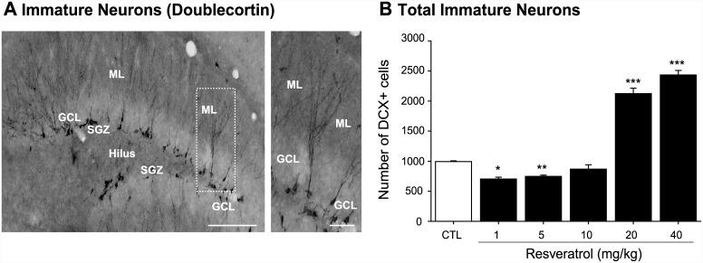 https://cdn.ncbi.nlm.nih.gov/pmc/blobs/4f5c/4690610/95b9c2164329/pone.0145687.g002.jpg