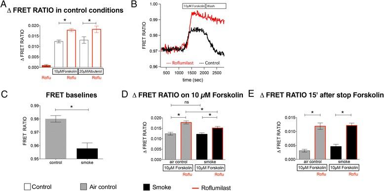https://cdn.ncbi.nlm.nih.gov/pmc/blobs/4f5d/4628339/8915ab43474c/12931_2015_294_Fig1_HTML.jpg