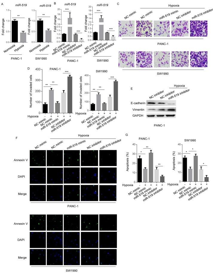 https://cdn.ncbi.nlm.nih.gov/pmc/blobs/4f5d/6956369/9dcf0bb13262/ol-19-02-1427-g00.jpg