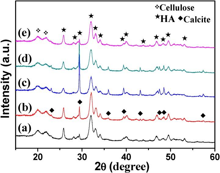 https://cdn.ncbi.nlm.nih.gov/pmc/blobs/4f5f/6432507/274b9e5bf8df/polymers-08-00316-g002.jpg