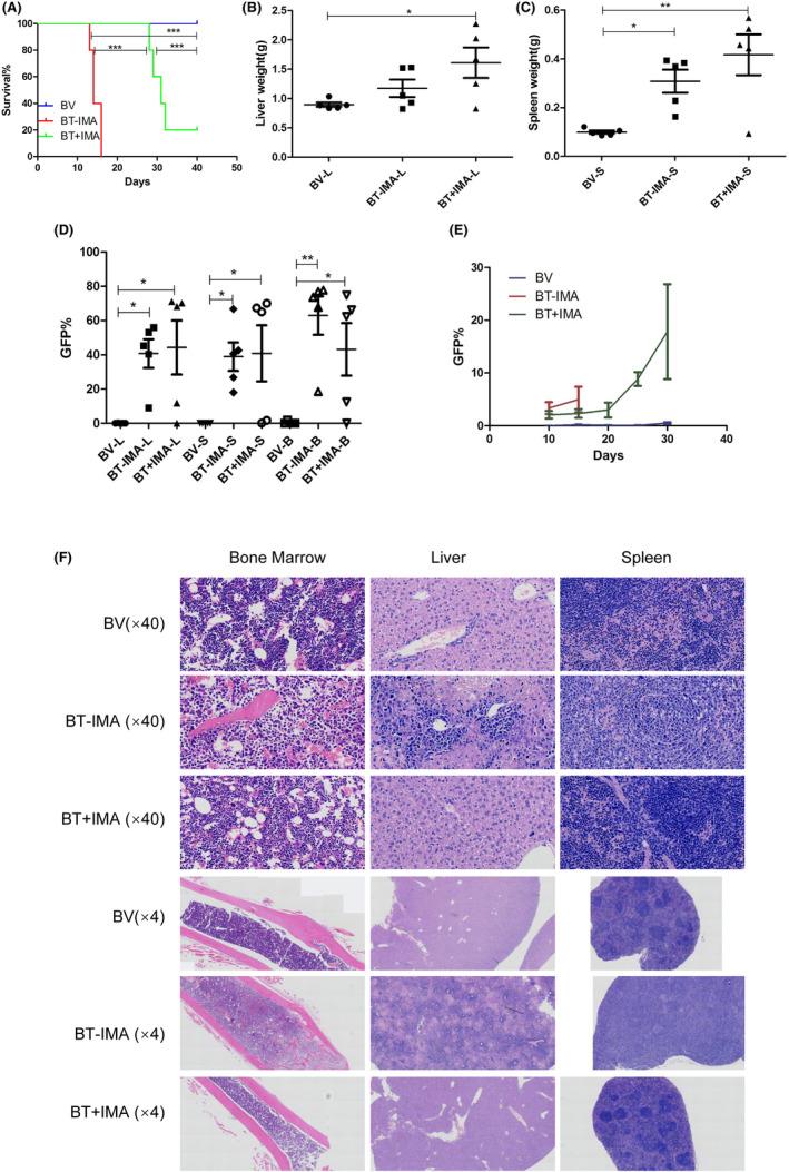 https://cdn.ncbi.nlm.nih.gov/pmc/blobs/4f61/10844707/0ec41d35c09d/JCMM-28-e18114-g003.jpg
