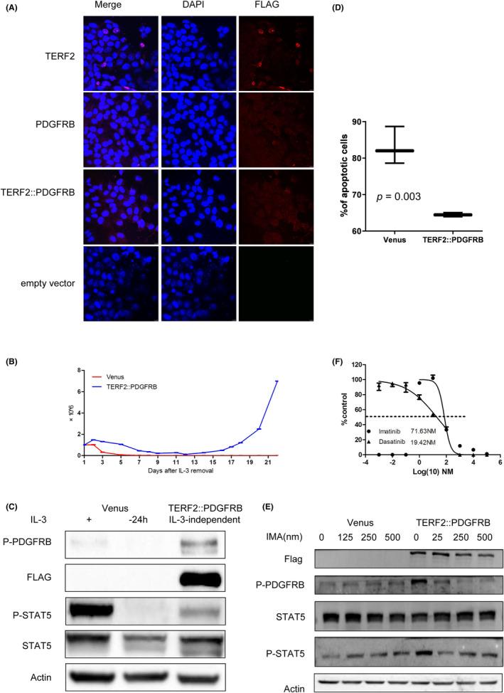https://cdn.ncbi.nlm.nih.gov/pmc/blobs/4f61/10844707/15b8fbb5d9c7/JCMM-28-e18114-g002.jpg