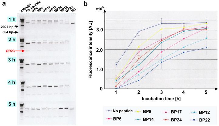 https://cdn.ncbi.nlm.nih.gov/pmc/blobs/4f61/11755562/acbd637e0d53/biotech-14-00001-g003.jpg