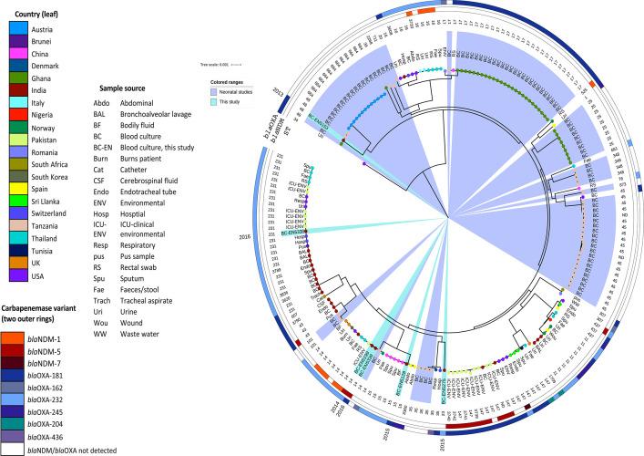 https://cdn.ncbi.nlm.nih.gov/pmc/blobs/4f62/7845606/54c7e70e0a01/mSphere.01156-20-f004.jpg
